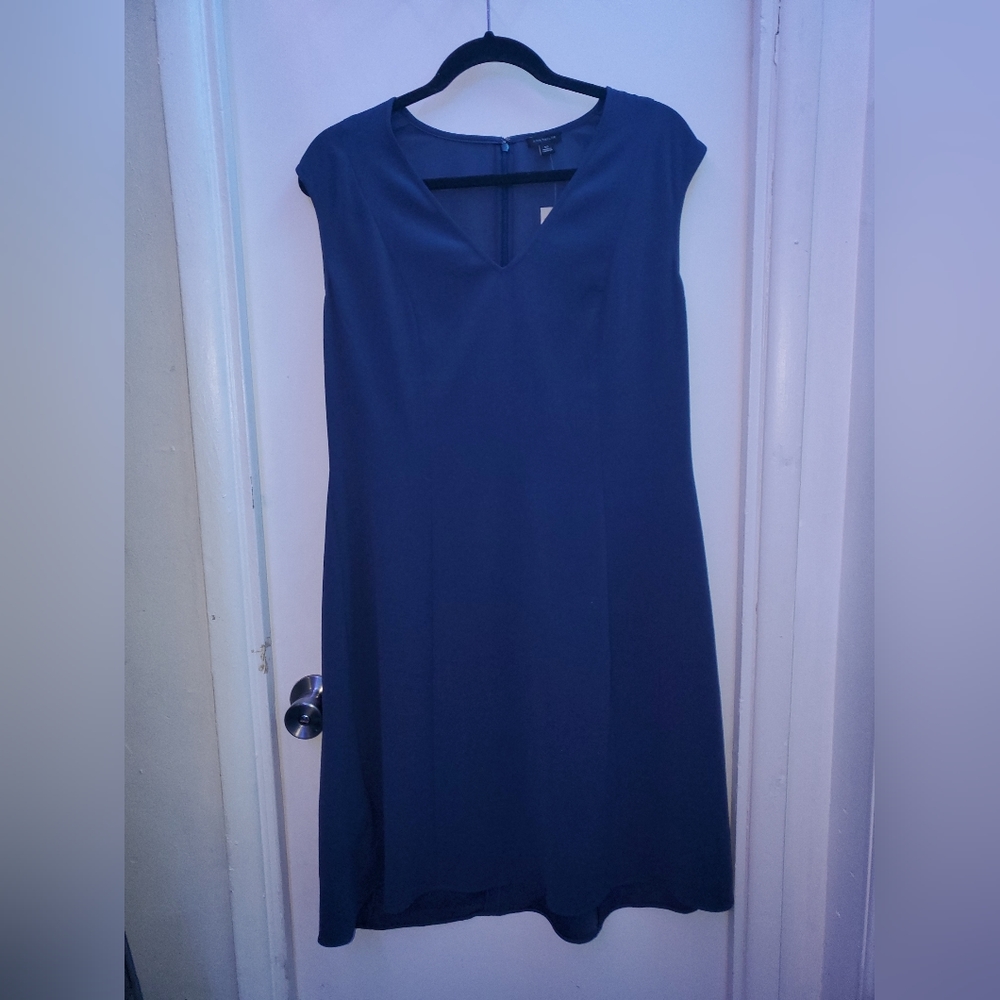 Ann Taylor Dress